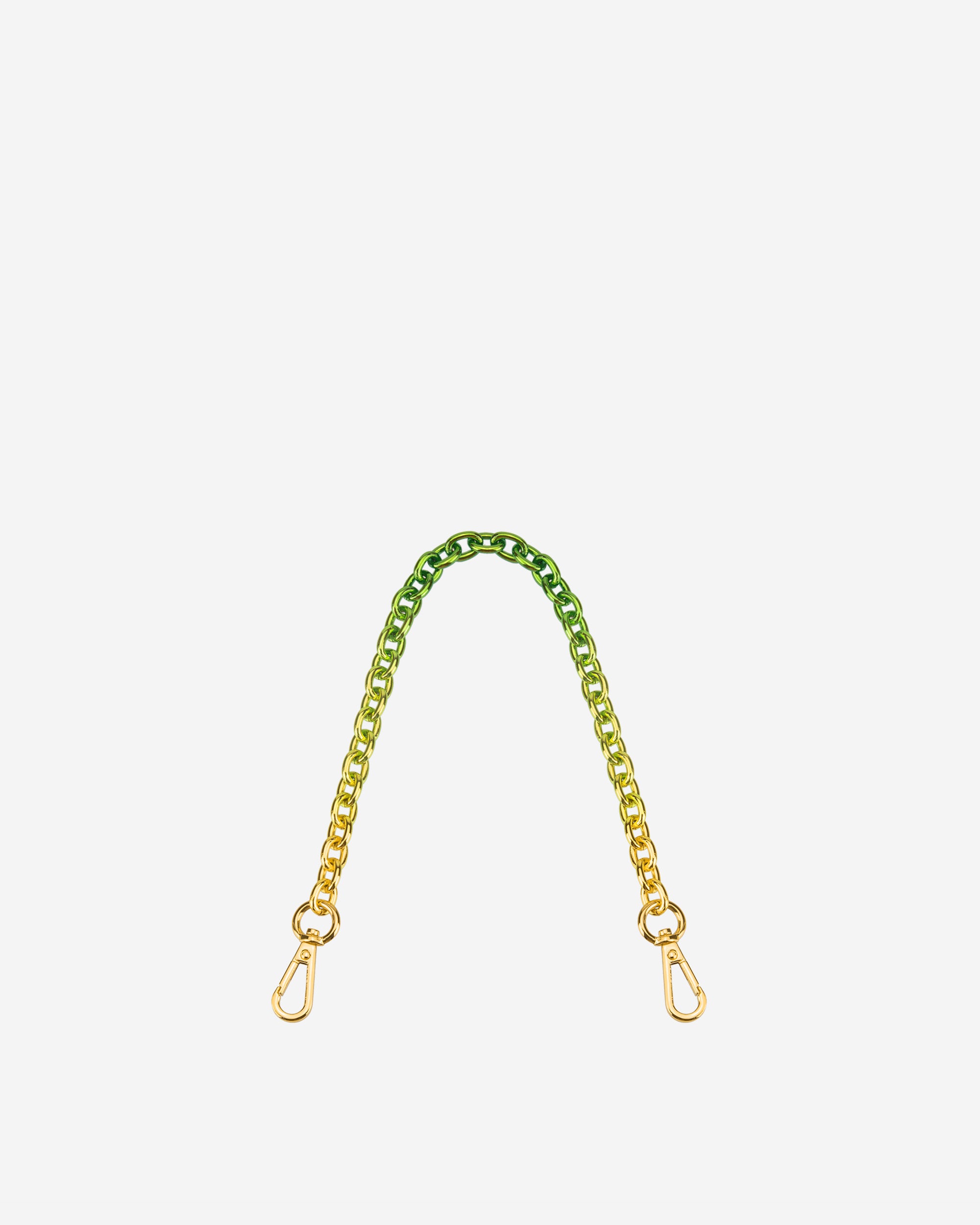 Green JW PEI Iris Gradient Women's Chain Strap | QJ6872039